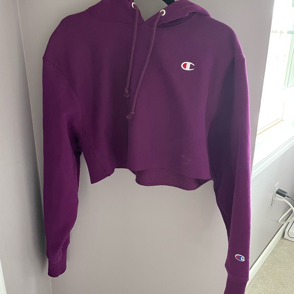 Champion Cropped Hoodie